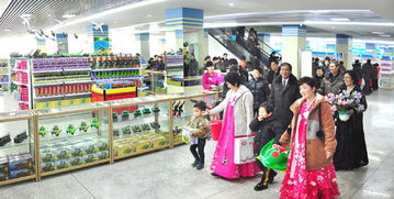 焕新之旅 苍光商店升级为全方位游乐园服务中心